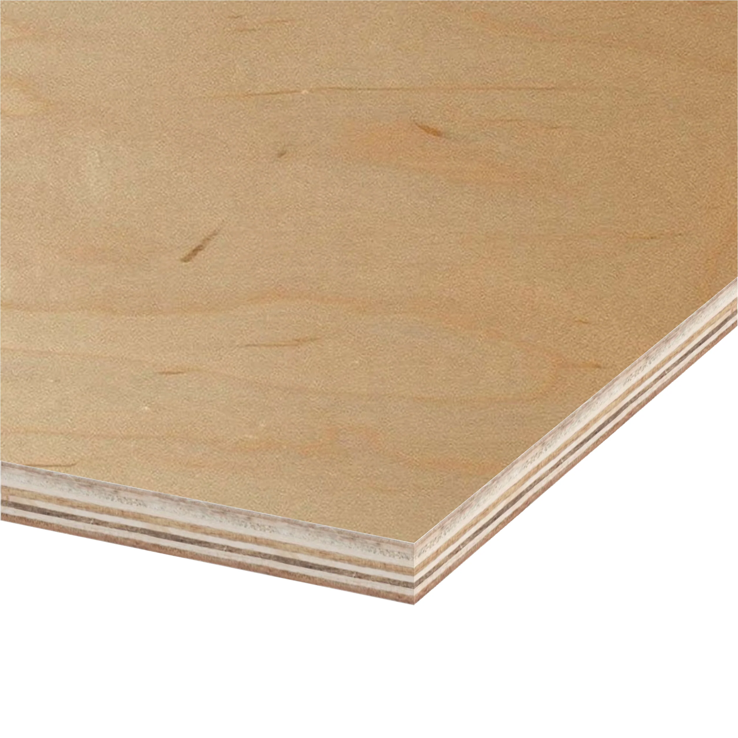 Birch Prefinished Plywood 4 ft x 8 ft (Imported Plywood) - Image 5