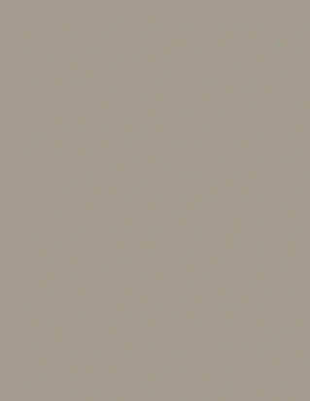 LAM TAUPE XM CHROM 4X10 DECORLINE 1MM IC