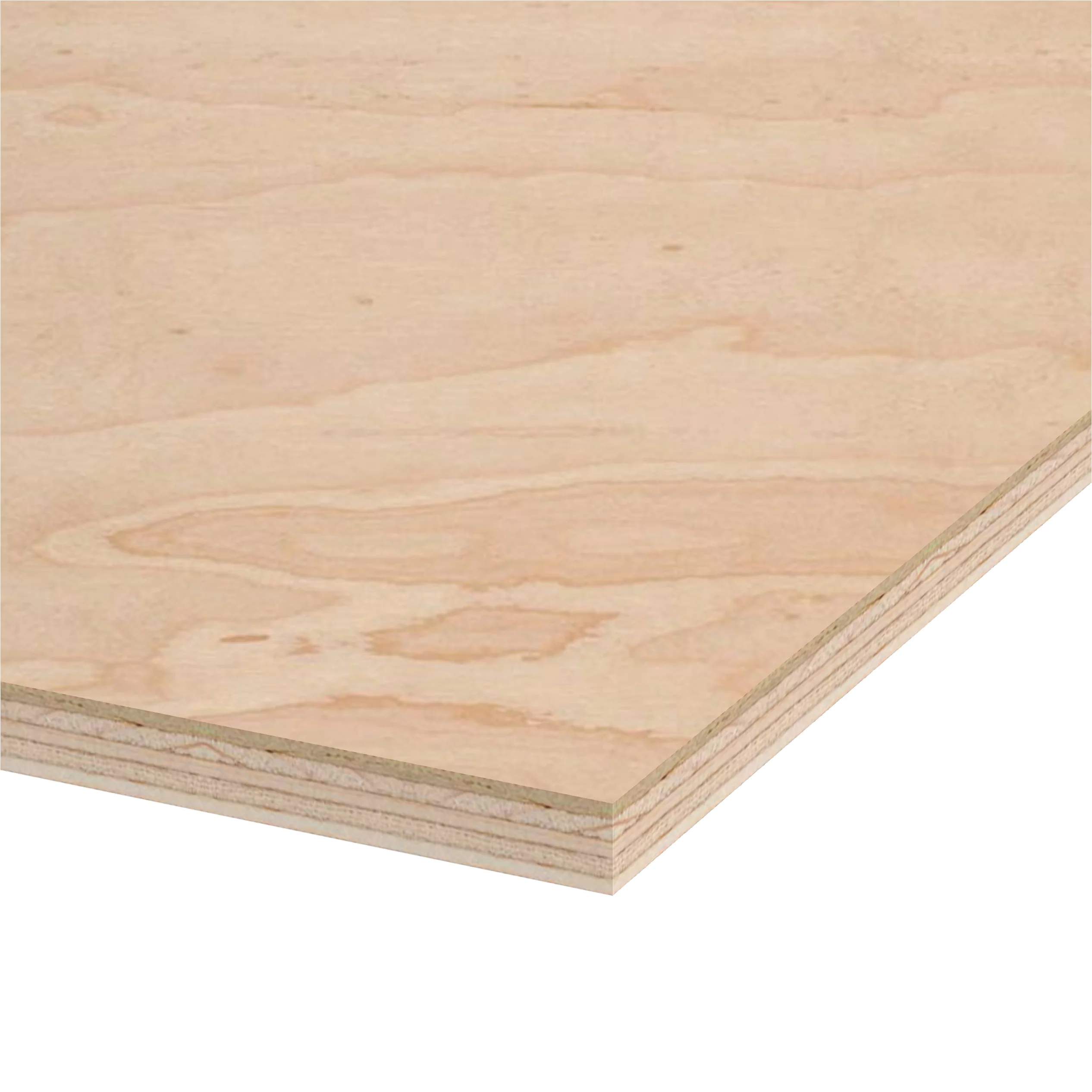 Maple Prefinished Plywood 4 ft x 8 ft (Domestic Plywood) - Image 7