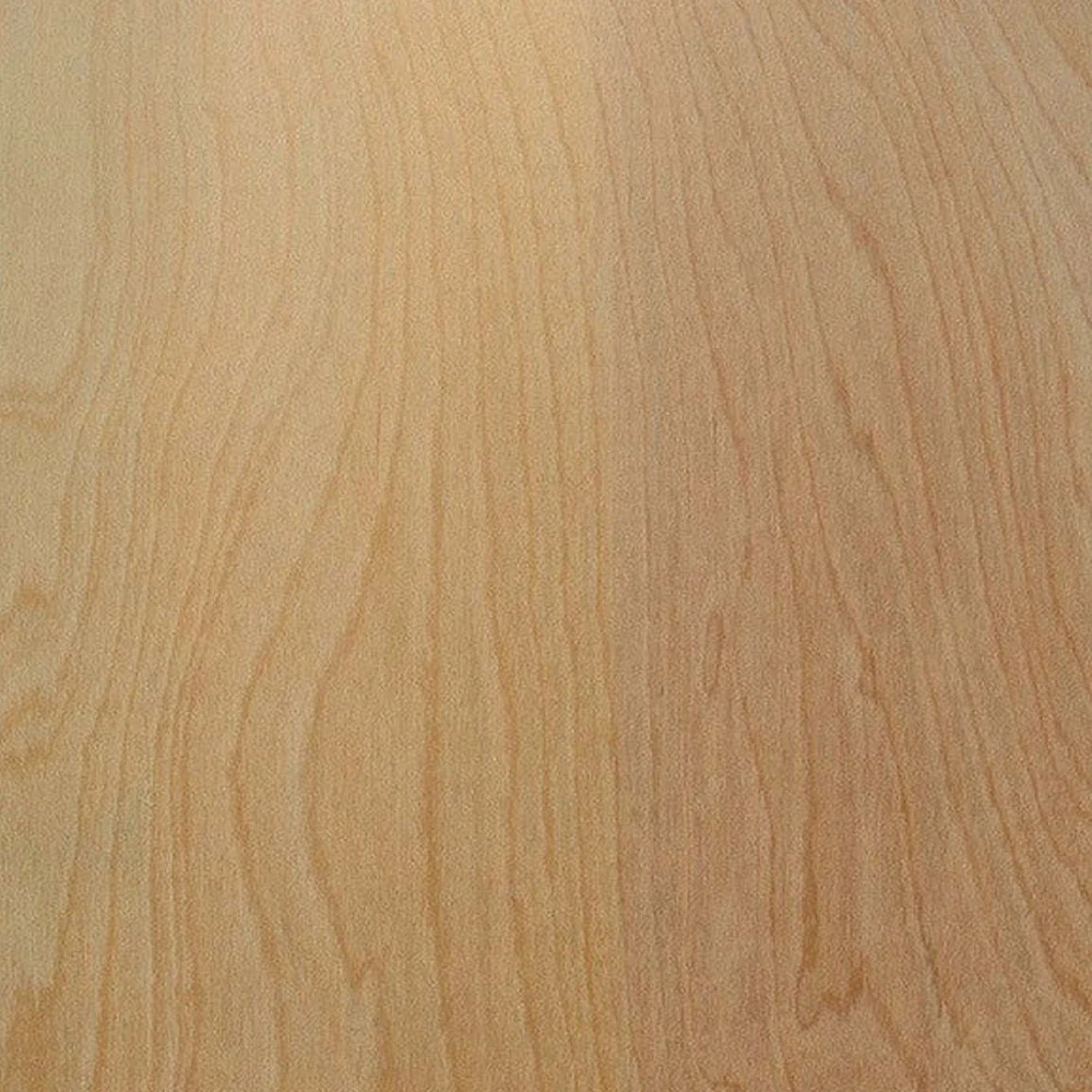 PLYWOOD SANDEPLY 3/4 4X8 - Image 3